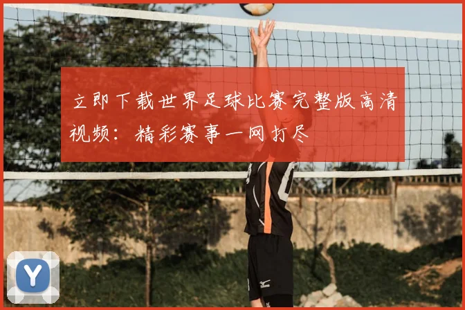 立即下载世界足球比赛完整版高清视频：精彩赛事一网打尽