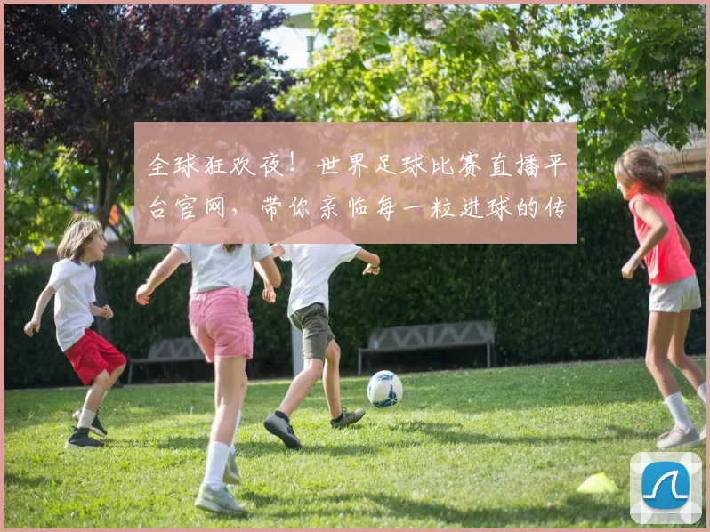 全球狂欢夜！世界足球比赛直播平台官网，带你亲临每一粒进球的传奇现场